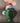 Grinch